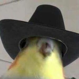 Meet your Posher, Ruth